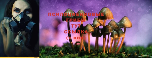 ПСИЛОЦИБИНОВЫЕ ГРИБЫ Волоколамск