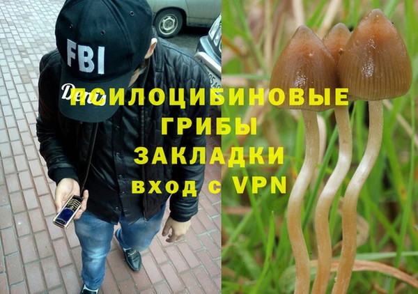 прущая мука Вяземский