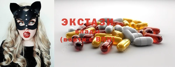индика Майский
