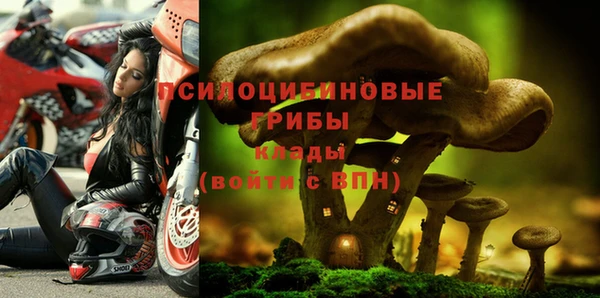 прущий лед Володарск