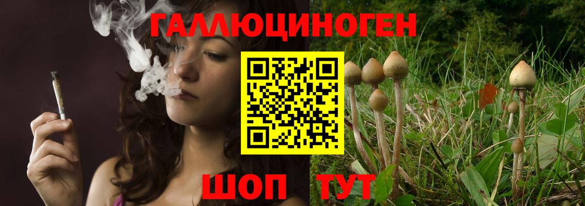 Галлюциногенные грибы Cubensis  Вход с VPN  сколько стоит  Наро-Фоминск  Псилоцибиновые грибы Magic Shrooms 